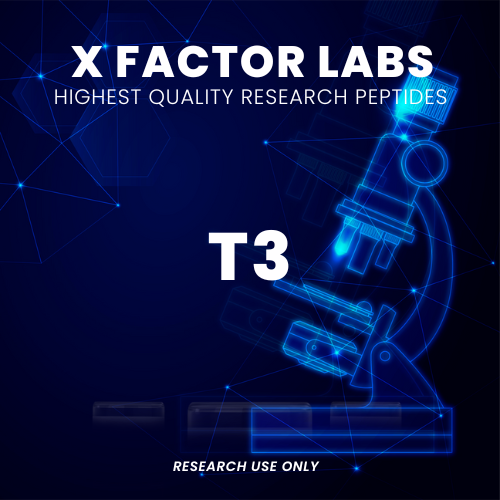 t3