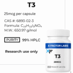 t3